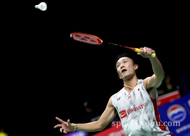 传导球和精 传导球和精